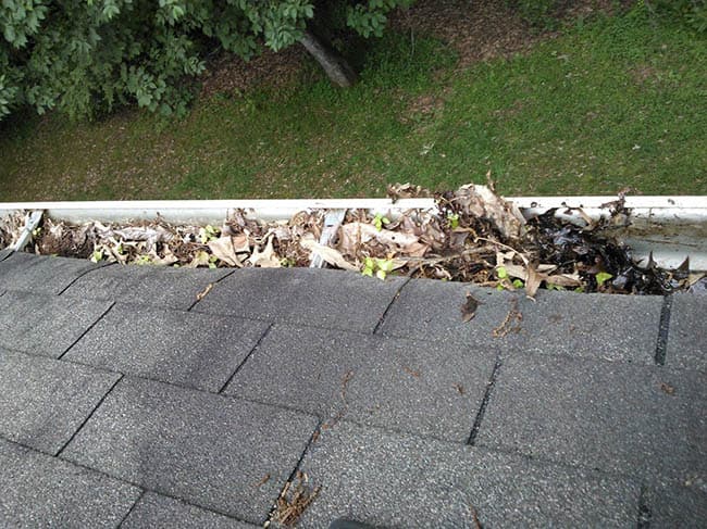 Cleaning Blocked Gutters in Crick
