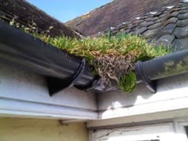 Cleaning Blocked Gutters in Kettering